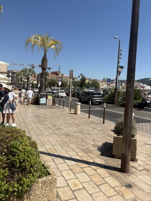 Seafront promenade with a tall palm, paved walkway, pedestrians, parked cars and town rooftops under cloudless sky