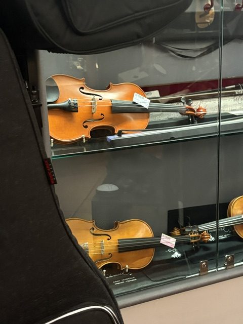 Violins displayed upright in a lit glass case in the music store