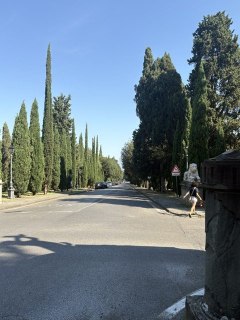 Day 12 — Tuscany by ebike, and a wine window