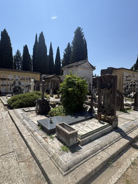 Cemetery with cypresses