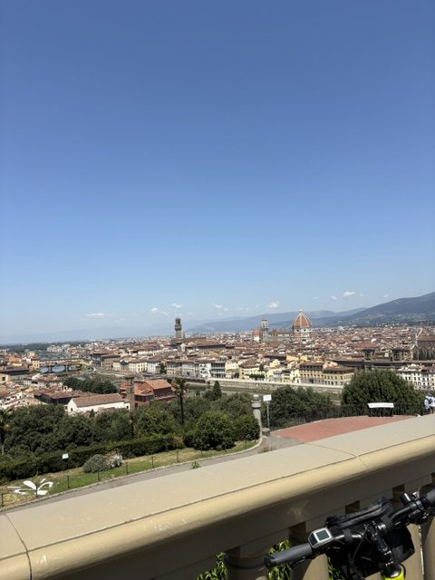Panorama of Florence from the hill
